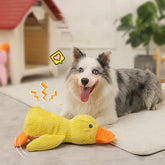 Duck Dog Toy